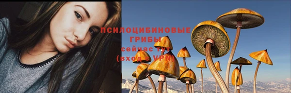 MESCALINE Пересвет