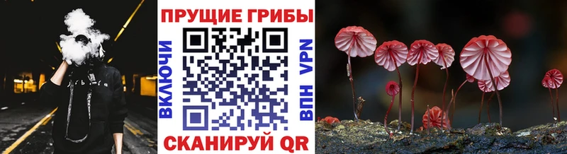 Псилоцибиновые грибы Magic Shrooms Южа