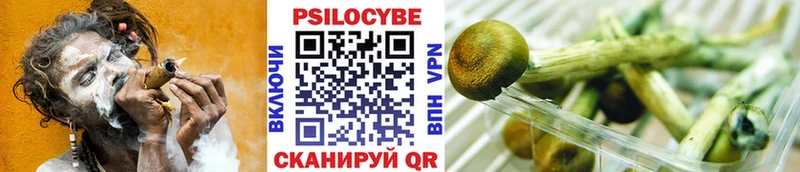 Галлюциногенные грибы GOLDEN TEACHER  наркота  Южа 